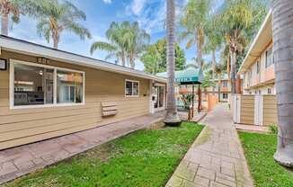 A sunny day at the office building surrounded by palm trees.