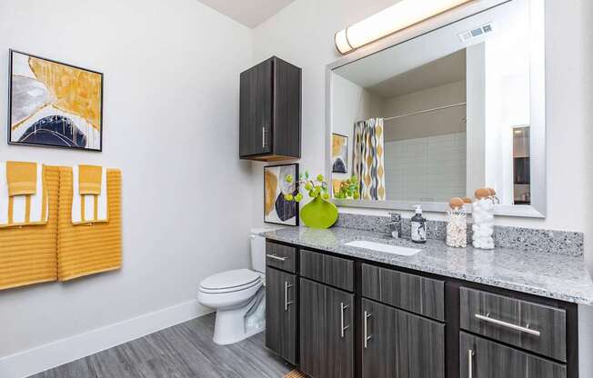 A bathroom with a toilet, sink, and a mirror.