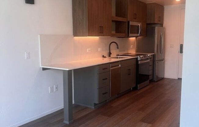 1 bed, 1 bath, 478 sqft, $2,495, Unit 204