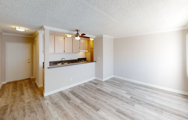 1 bed, 1 bath, 561 sqft, $1,750, Unit 221