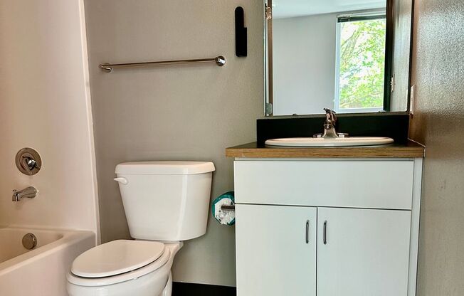 Studio, 1 bath, 258 sqft, $1,175, Unit 505