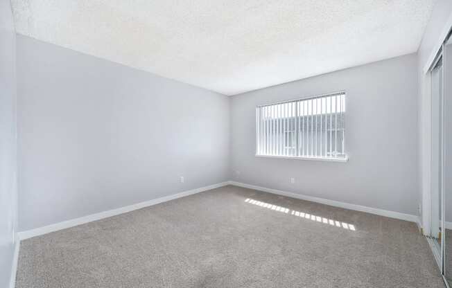 The Canopy | Bedroom