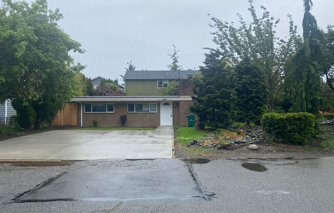 Renovated single family home in Seattle! Beautiful fireplace and fixtures!