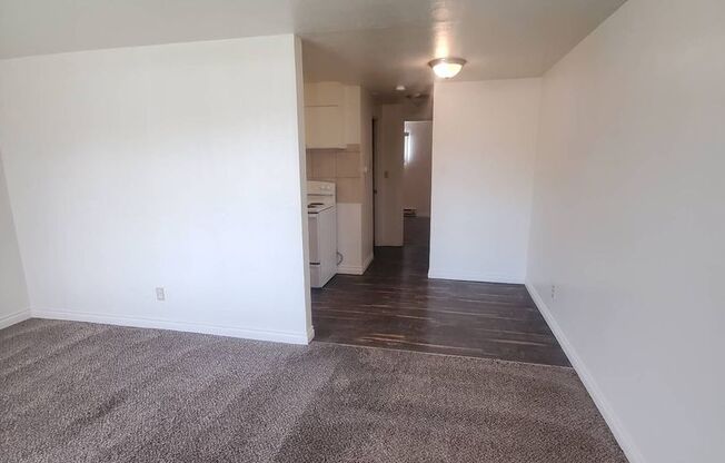 1 bed, 1 bath, $850, Unit 601 S. Division #03