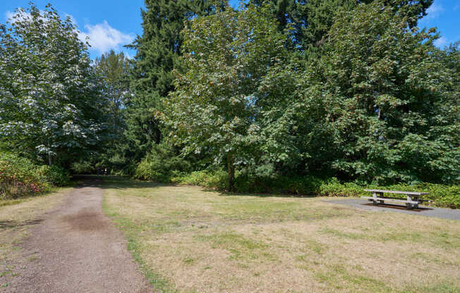 North Creek Park exhibits extensive trails