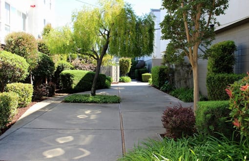 inner courtyard of 3655 Colegrove apartments