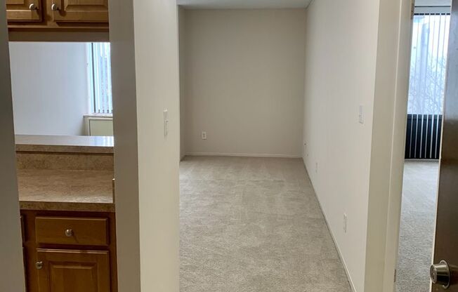 1 bed, 1 bath, 550 sqft, $945, Unit 310B