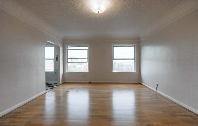 Studio, 1 bath, 545 sqft, $1,375