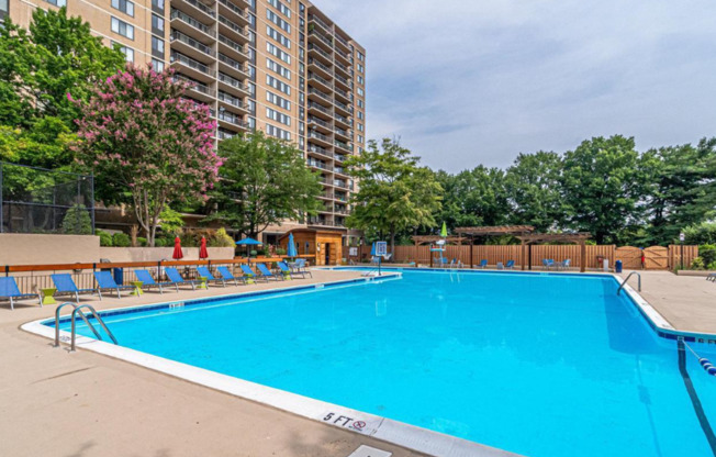 Newly Remodeled 1 bedroom / 1.5 bath Condo at Place One