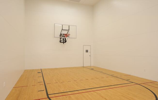 Indoor sports court at Elme Alexandria, Virginia, 22304