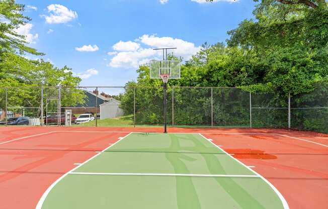 Basketball Court