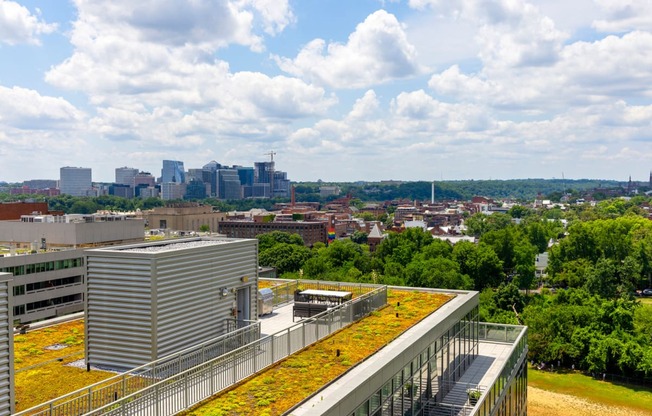 a green roof with a view of the minneapolis skyline