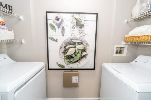 a small laundry room with a picture of a plant on the wall at Merion Milford Apartment Homes, Milford, CT 06460