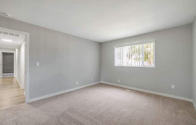 A room with a carpeted floor and a window with blinds.