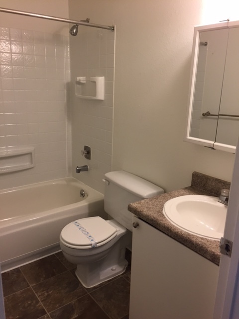 1 bed, 1 bath, 780 sqft, $1,469, Unit T302