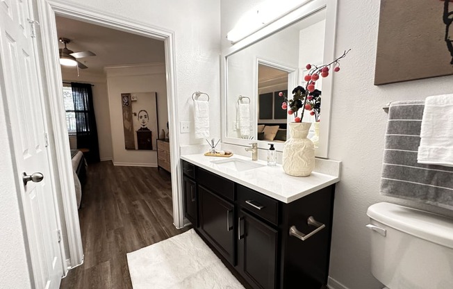 a bathroom with a large mirror and a sink