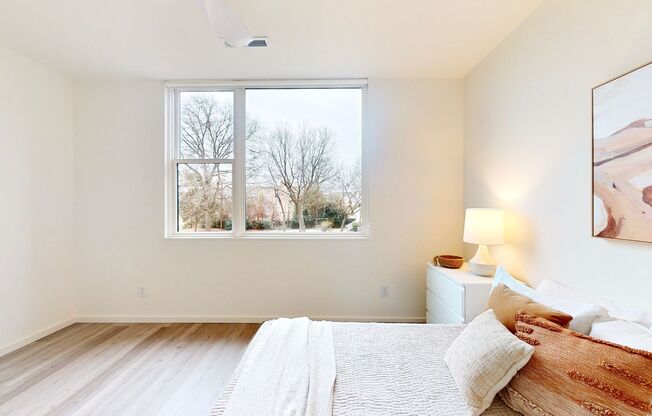 1 bed, 1 bath, 282 sqft, $825