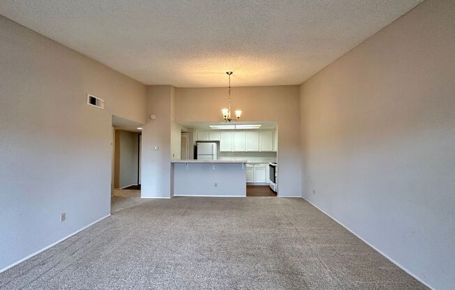 Gorgeous 1 bedroom Condo with 1 Car Garage!