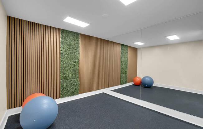 A room with a green carpet and a wall with a green plant on it.