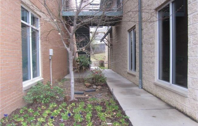 1615 West Oleander St Apts