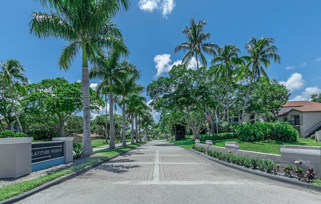a tree in front of a palm tree