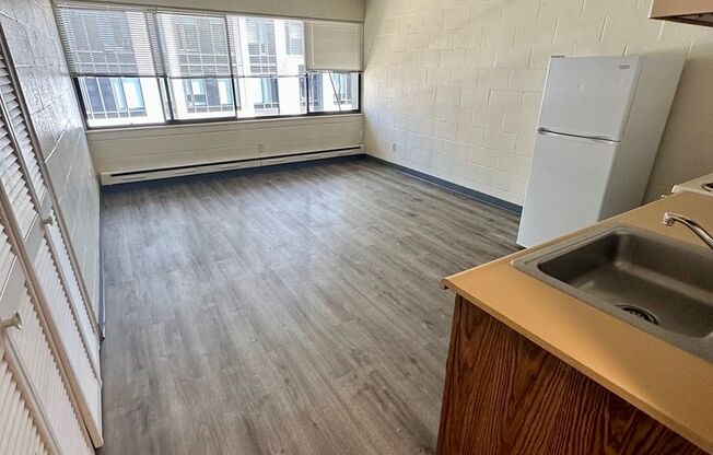 Studio, 1 bath, 302 sqft, $1,100, Unit 403