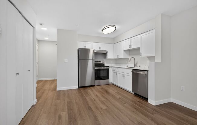 Studio, 1 bath, 413 sqft, $1,445, Unit 208