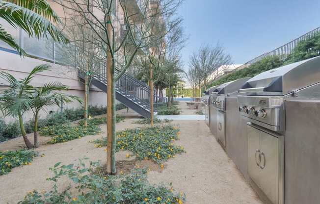 A small garden with a tree and a metal structure.