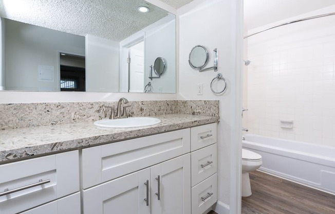 a bathroom with a sink and a toilet and a mirror