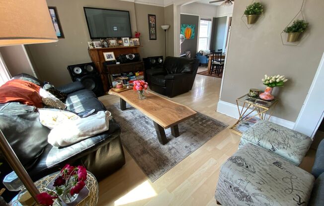 1529-31 Cass