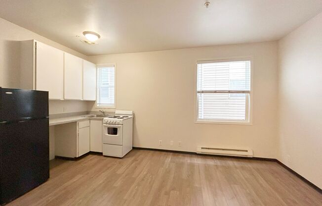 Studio, 1 bath, 265 sqft, $975, Unit 1428-108