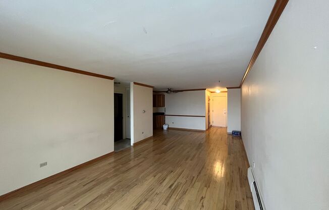 1 bed, 1 bath, $1,250