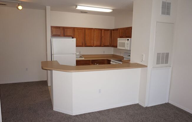 1 bed, 1 bath, $1,250