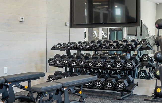 Free Weights In Gym at The Grove at Piscataway, New Jersey, 08854