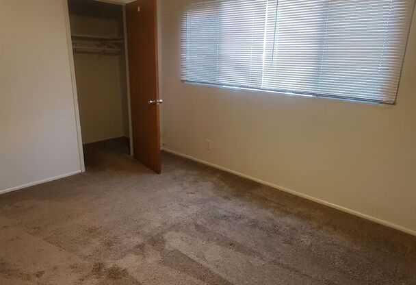 1 bed, 1 bath, $1,875, Unit 2