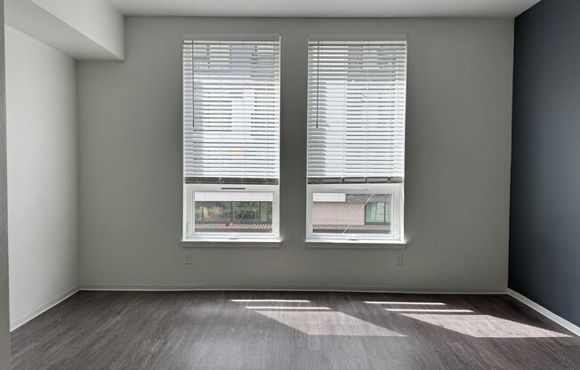 Studio, 1 bath, 317 sqft, $1,095, Unit 207