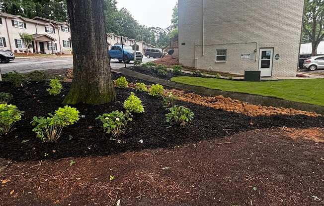 A tree in a flower bed in front of a building.