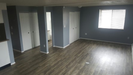 Studio, 1 bath, 600 sqft, $1,275