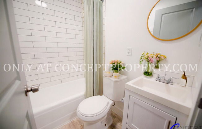 Studio, 1 bath, 208 sqft, $1,099, Unit 3D