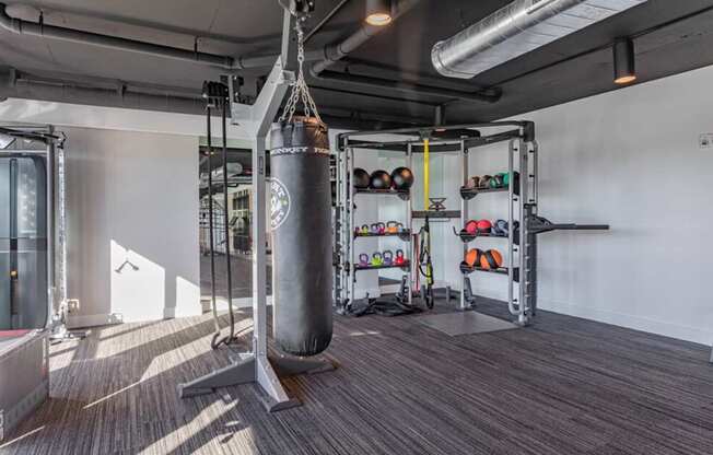 Professional fitness studio with boxing station