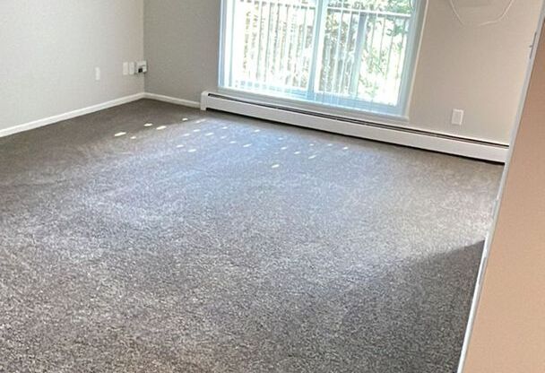 1 bed, 1 bath, 610 sqft, $1,285, Unit 241-105