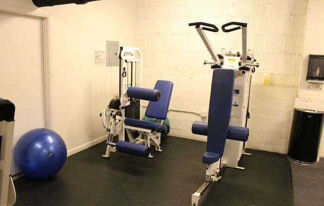 1 bed, 1 bath, 704 sqft, $2,475, Unit 117