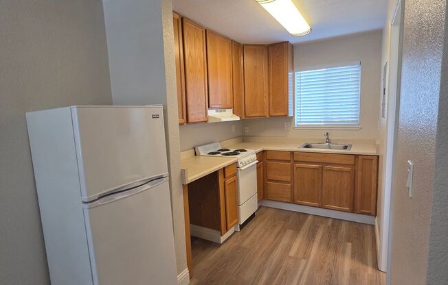 Studio, 1 bath, 270 sqft, $1,045, Unit D213