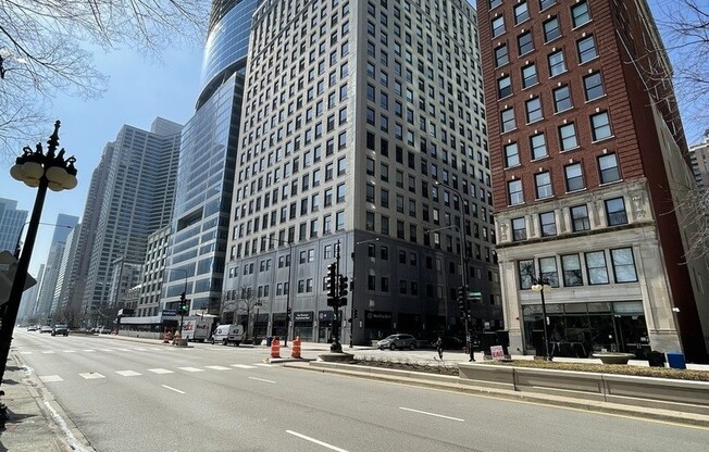 910 S Michigan Ave