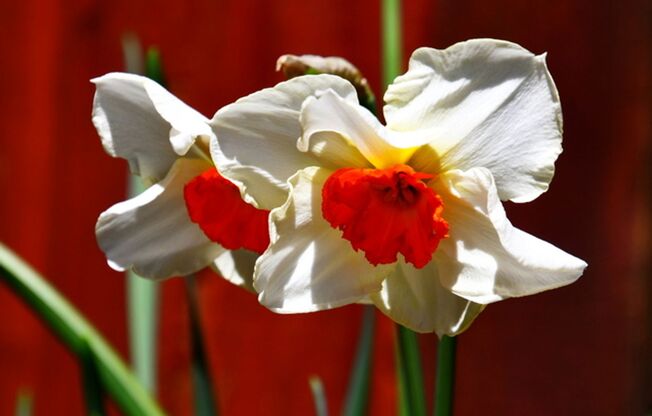 2 beds, 1 bath, 881 sqft, $975, Unit E24