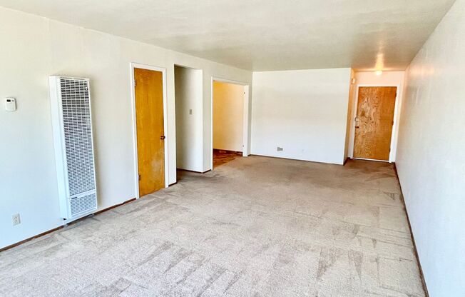 Spacious and Bright 1BR/1BA Top Floor Unit in the Mission!  Laundry! Parking!  PROGRESSIVE