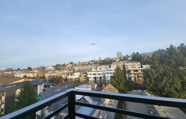 1 bed, 1 bath, 385 sqft, $1,695, Unit 504