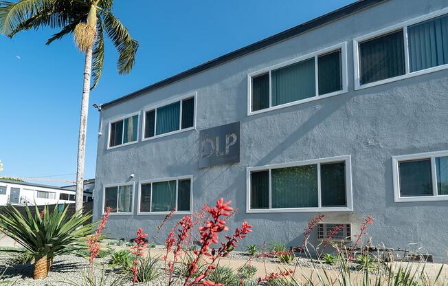 a palm tree in front of a building