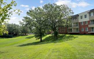 A tree in a grassy field with apartment buildings in the background.