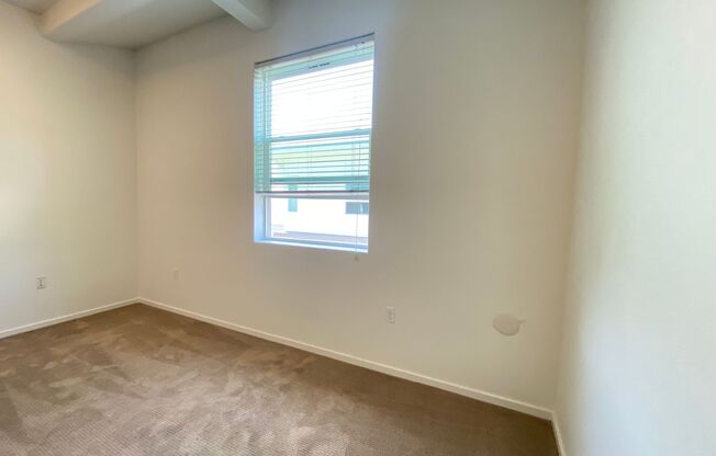 Studio, 1 bath, 175 sqft, $1,895, Unit 2506-A